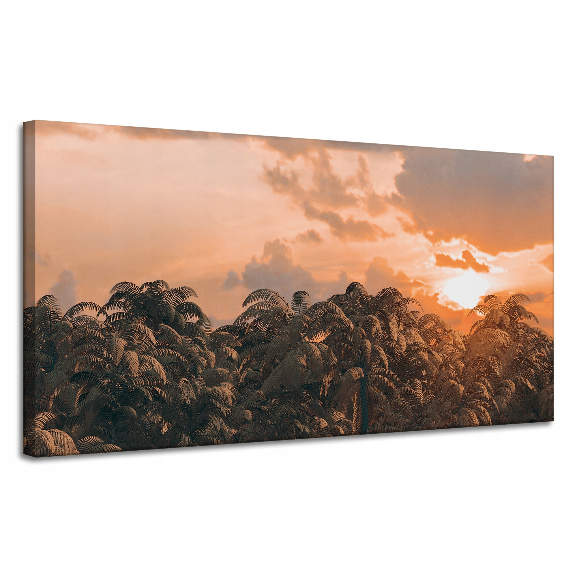 Obraz na plátně Stromy Západ Slunce Mraky Nebe 120x60 cm