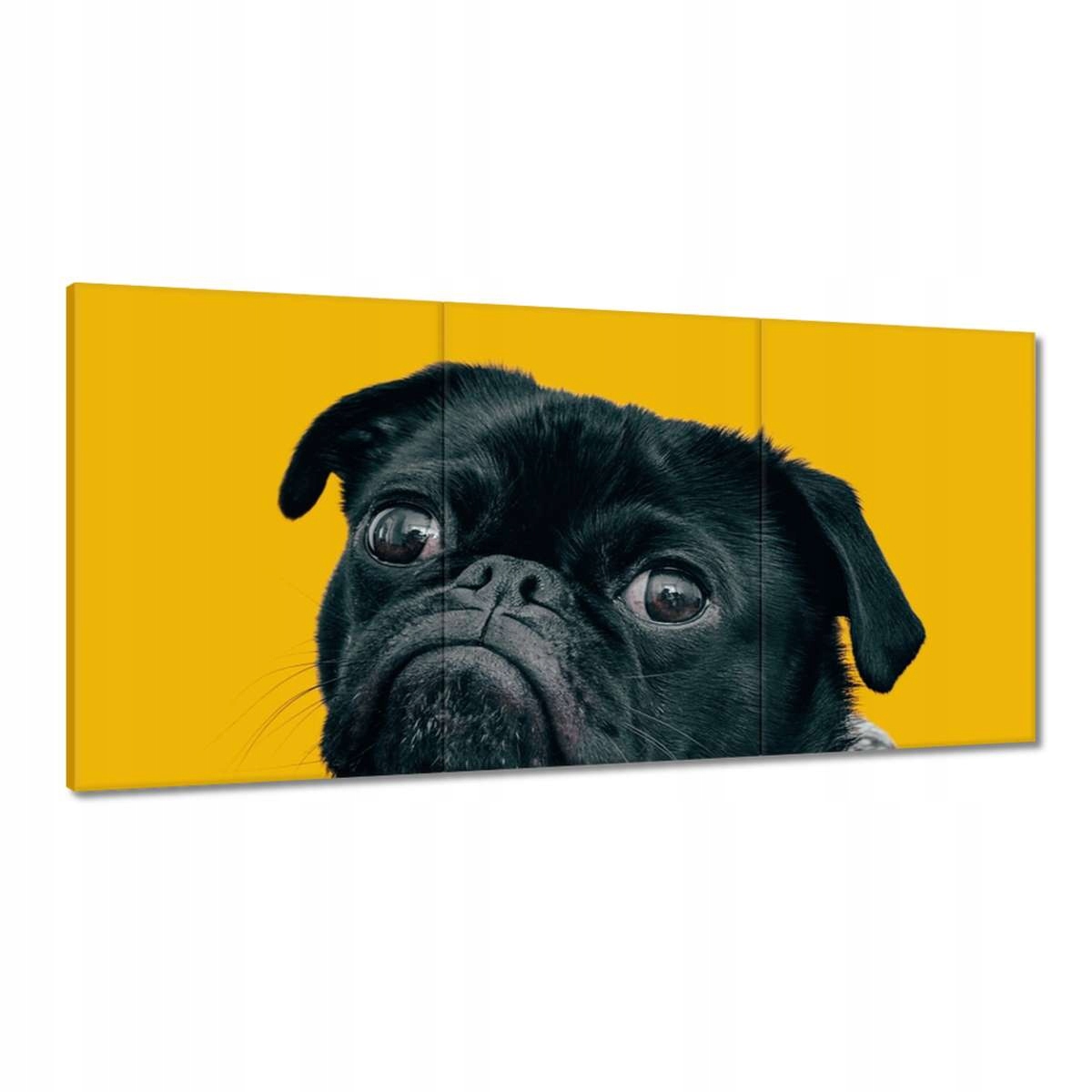 Obrazy 180x90 Pes Psík