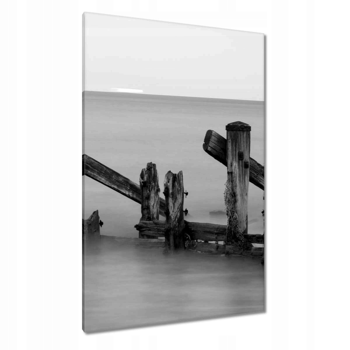 Obrazy 80x120 Dřevěný vlnolam