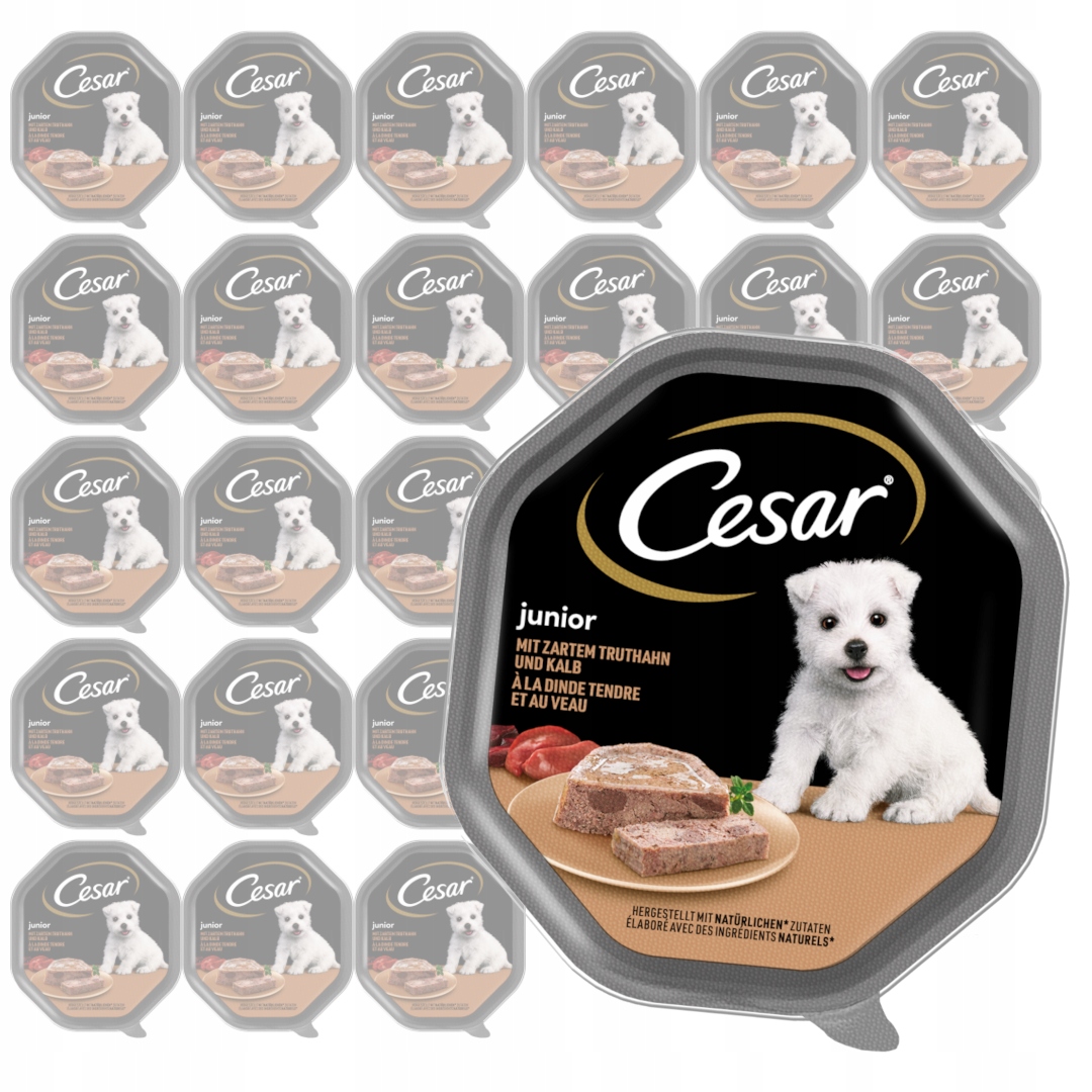 Levně Cesar Junior 28x150g Vlhké Krmivo pro štěňata Krůta telecí maso v paštice