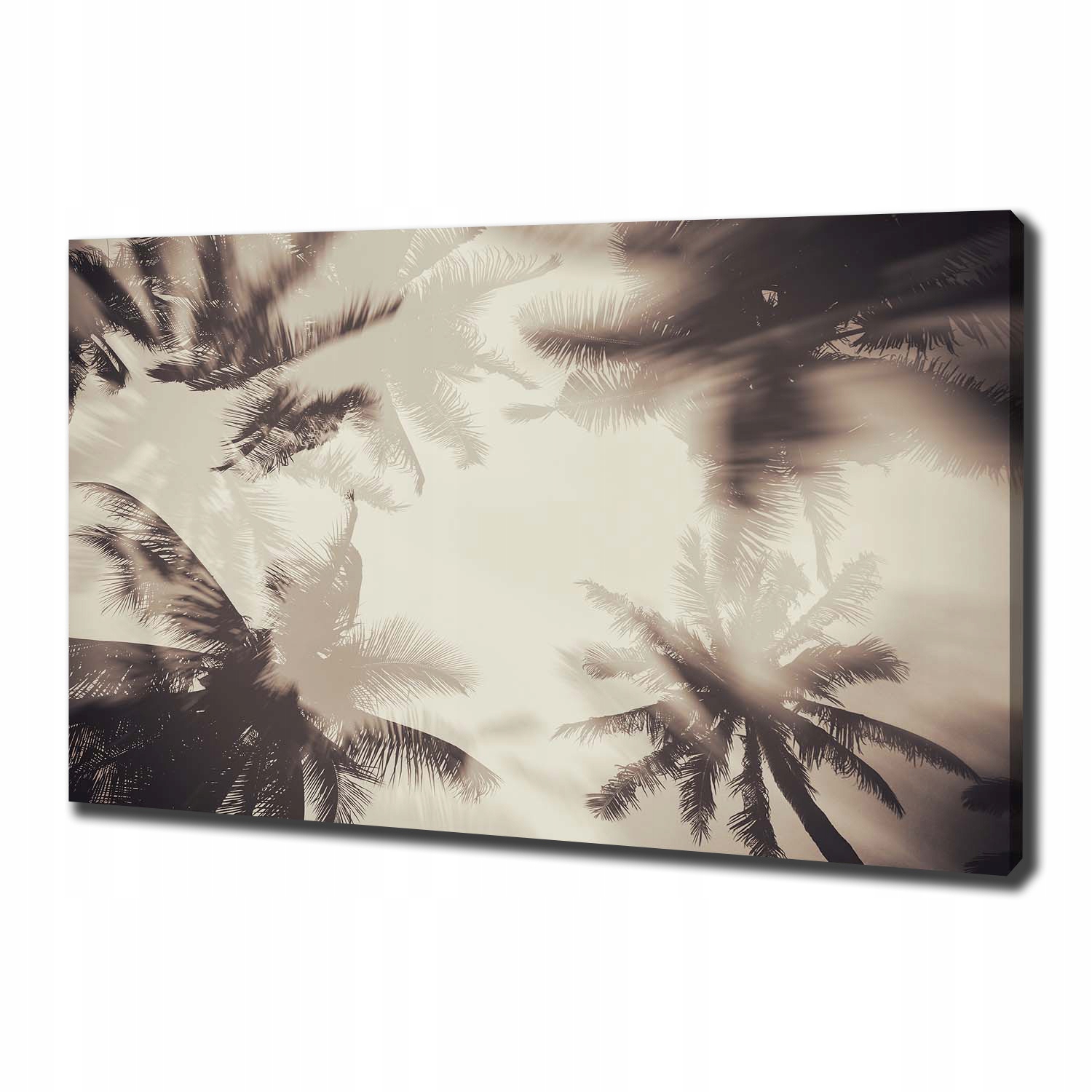 

Foto obraz ze zdjęcia do salonu Palmy 100x70 cm