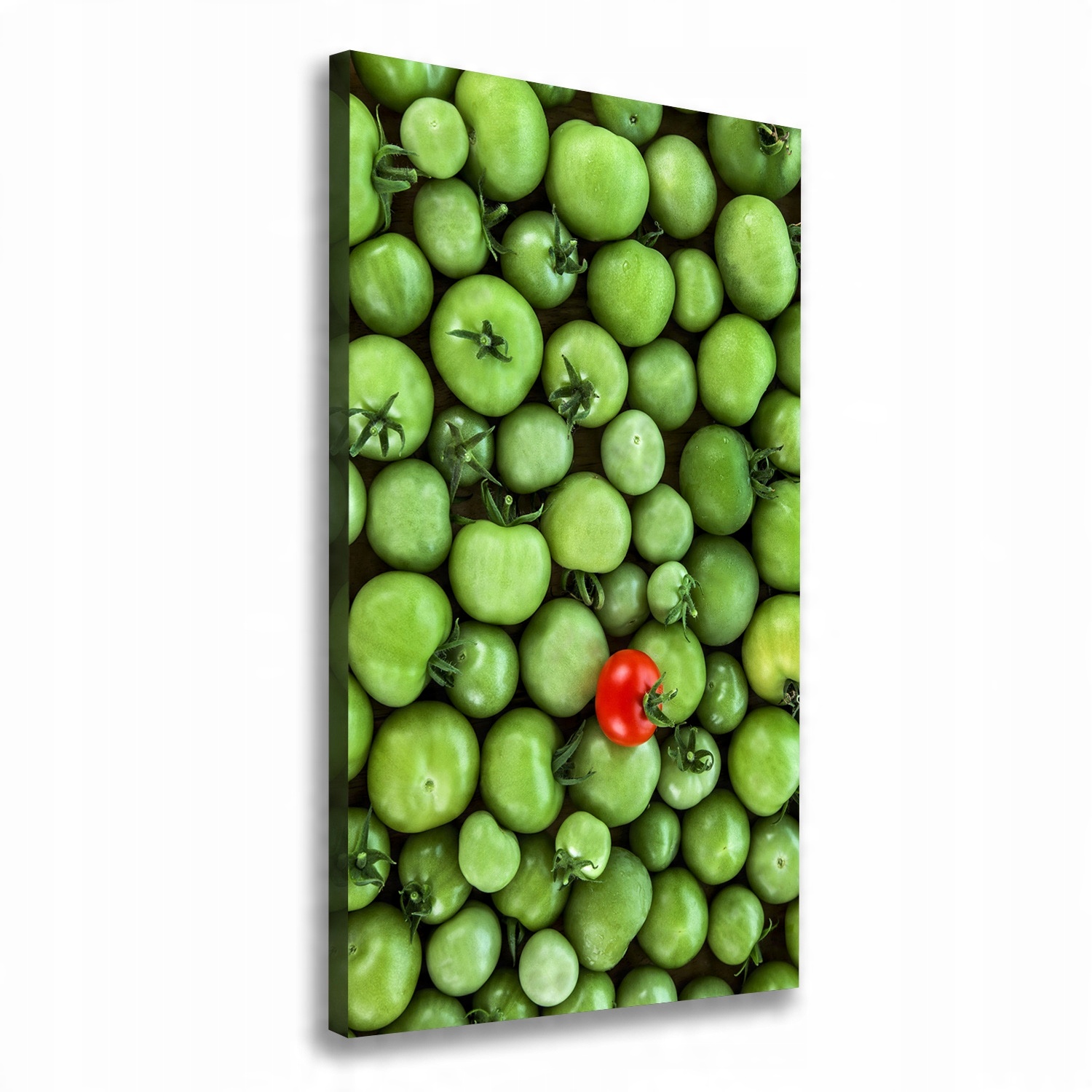 

Foto obraz na płótnie Czerwony pomidor 60x120 cm