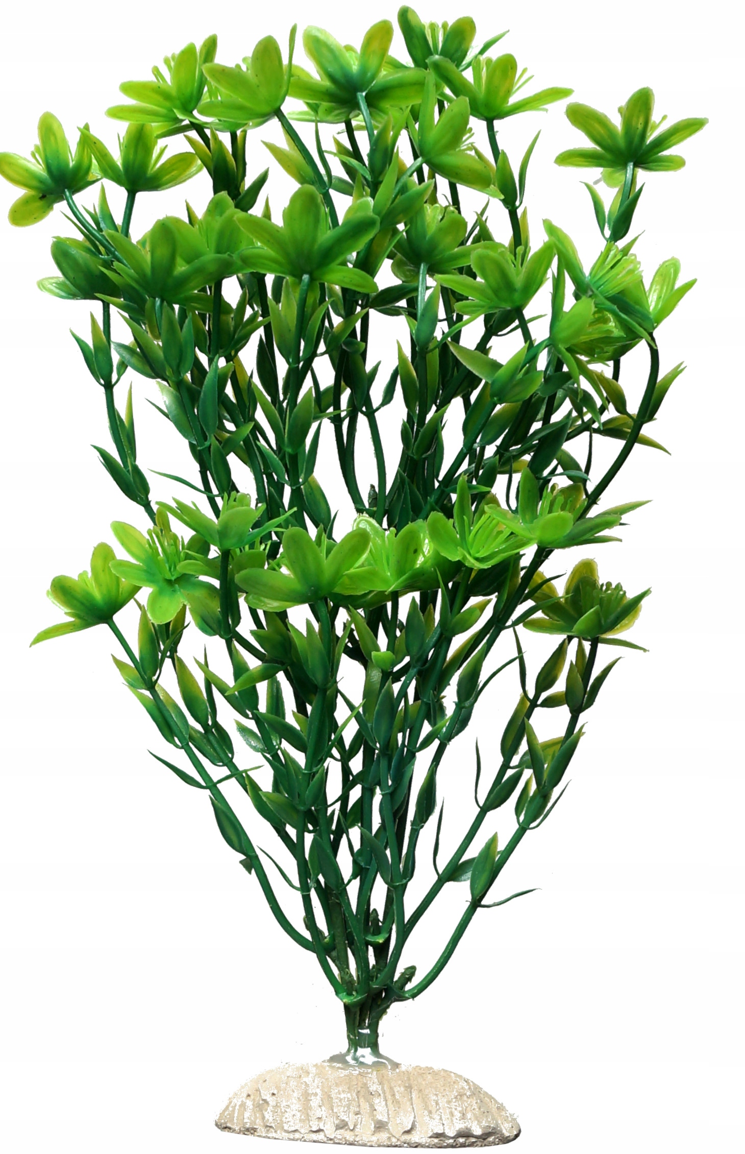 

Roślinka sztuczna ozdoba do Akwarium 24cm 3.69 Bnz