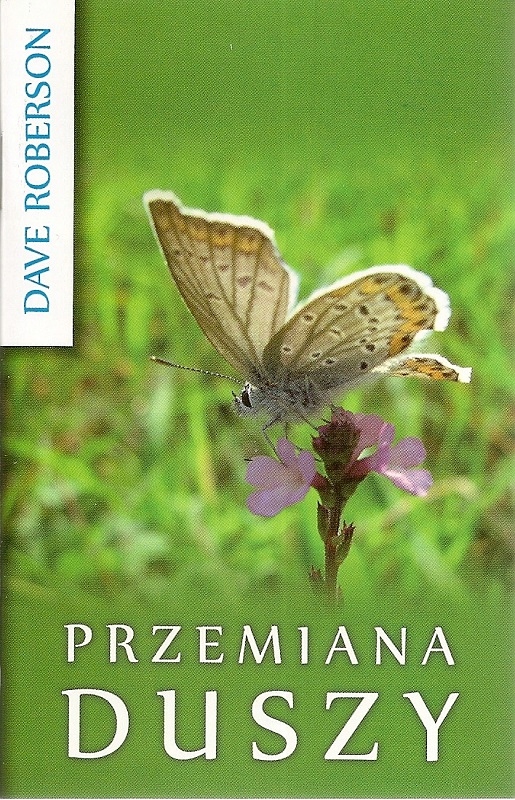 Przemiana duszy Dave Roberson oprawa miękka