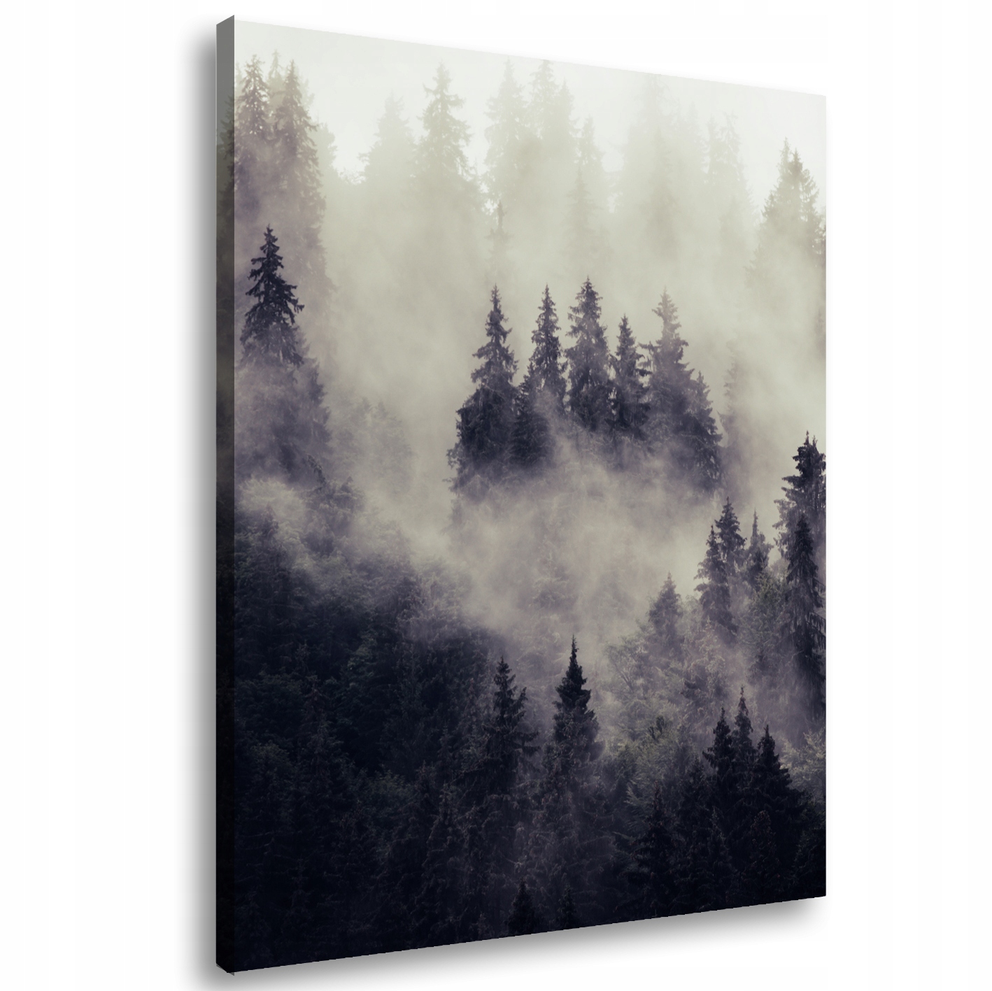 

Obraz na płótnie Las Drzewa Mgła 89A-100x150cm