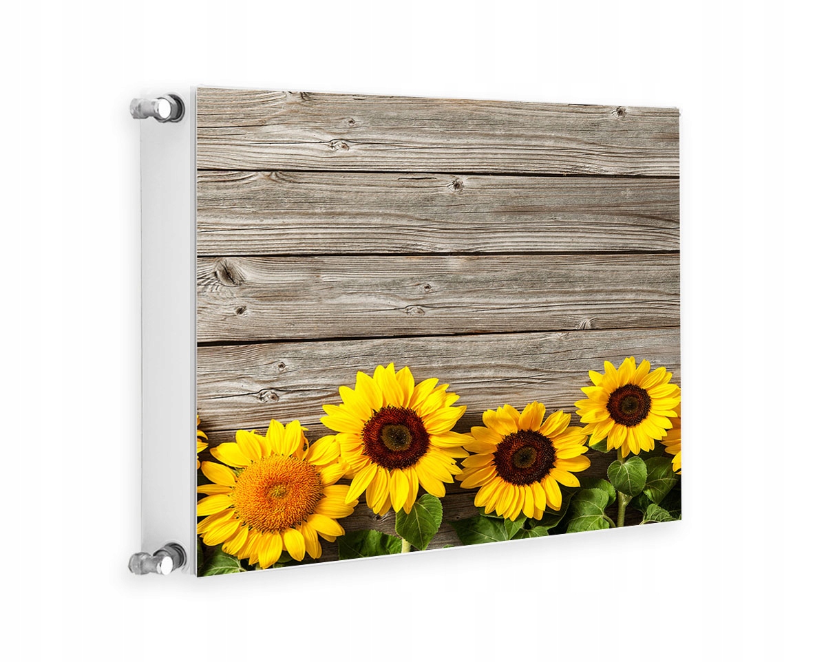 MAGNETYCZNA OSŁONA NA KALORYFER 60x60 KWIATY FOTOTAPETA