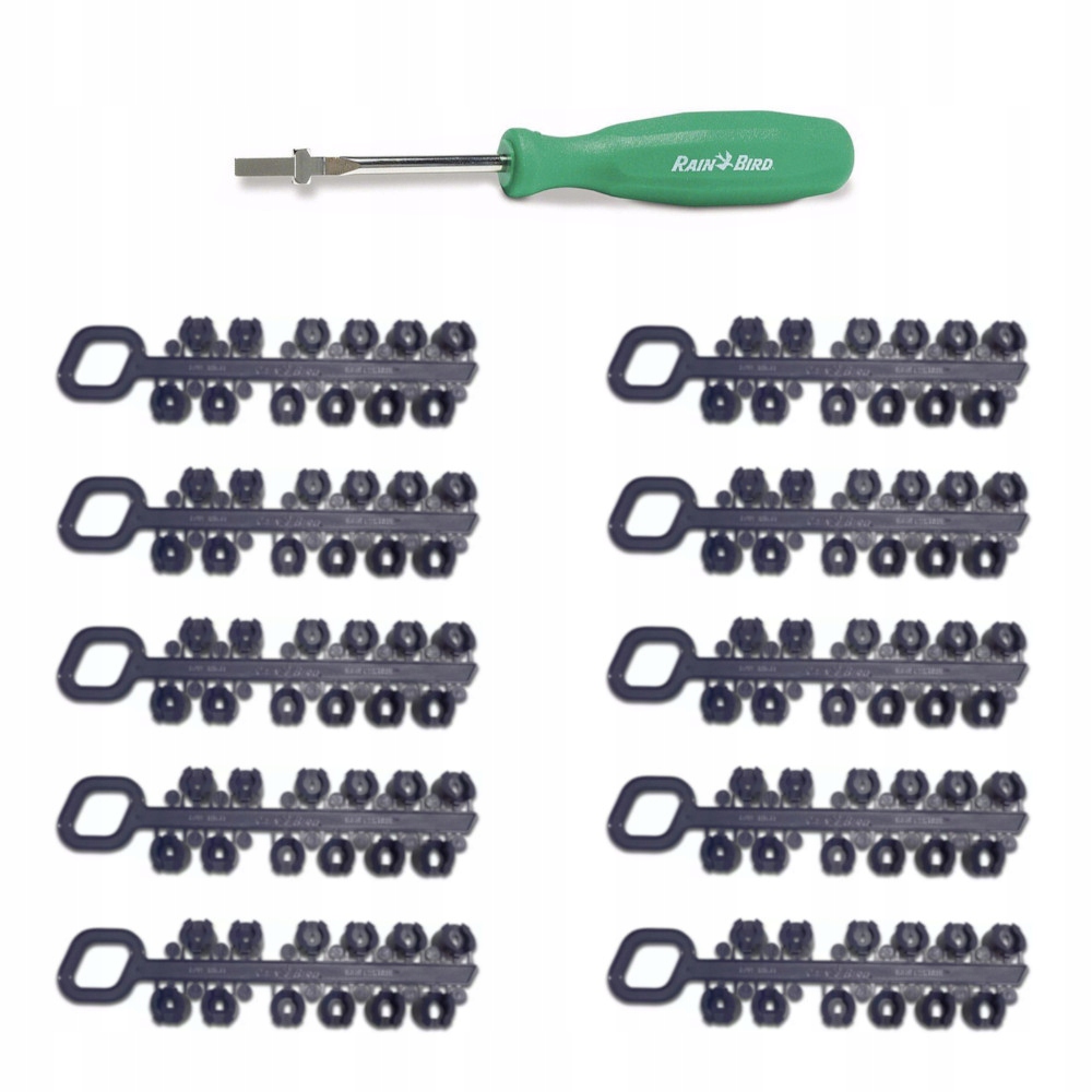 Zestaw 10 dysz RainBird 5004 i klucz do regulacji