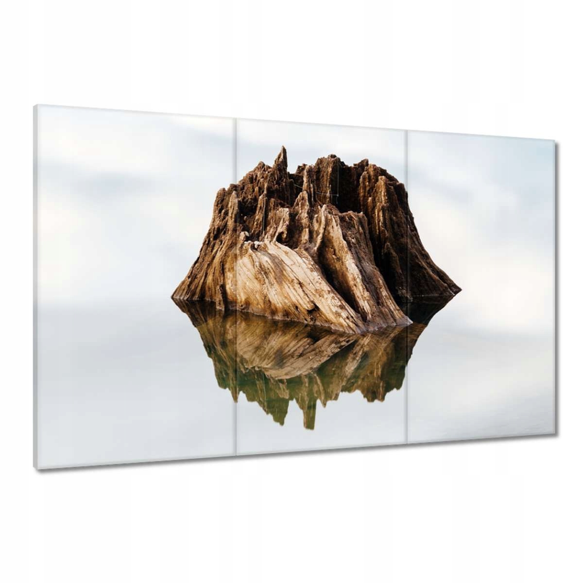 Obrazy 120x80 Ostrov na jezeře
