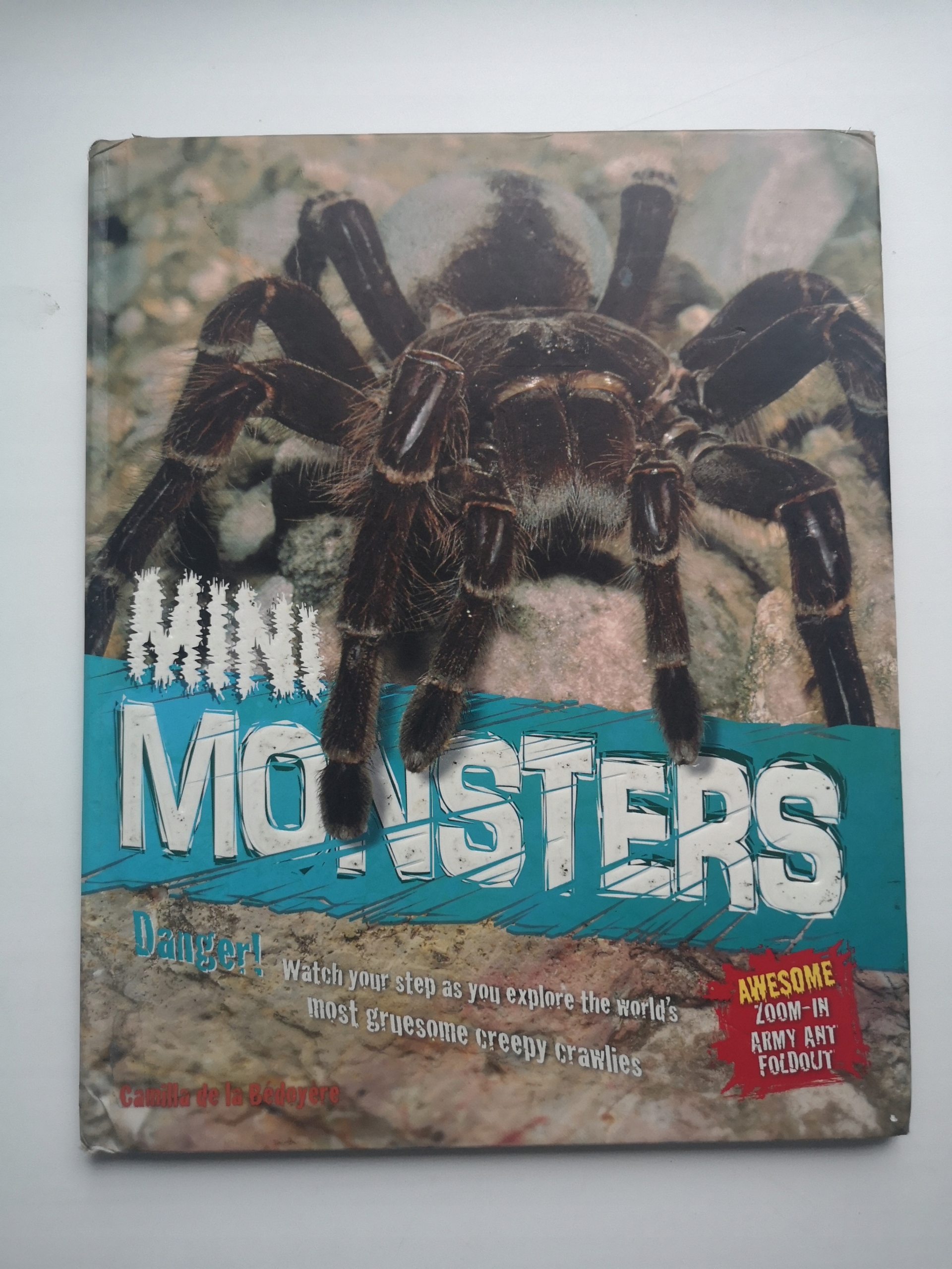 Mini Monsters, Camilla de la Bedoyere , pająki