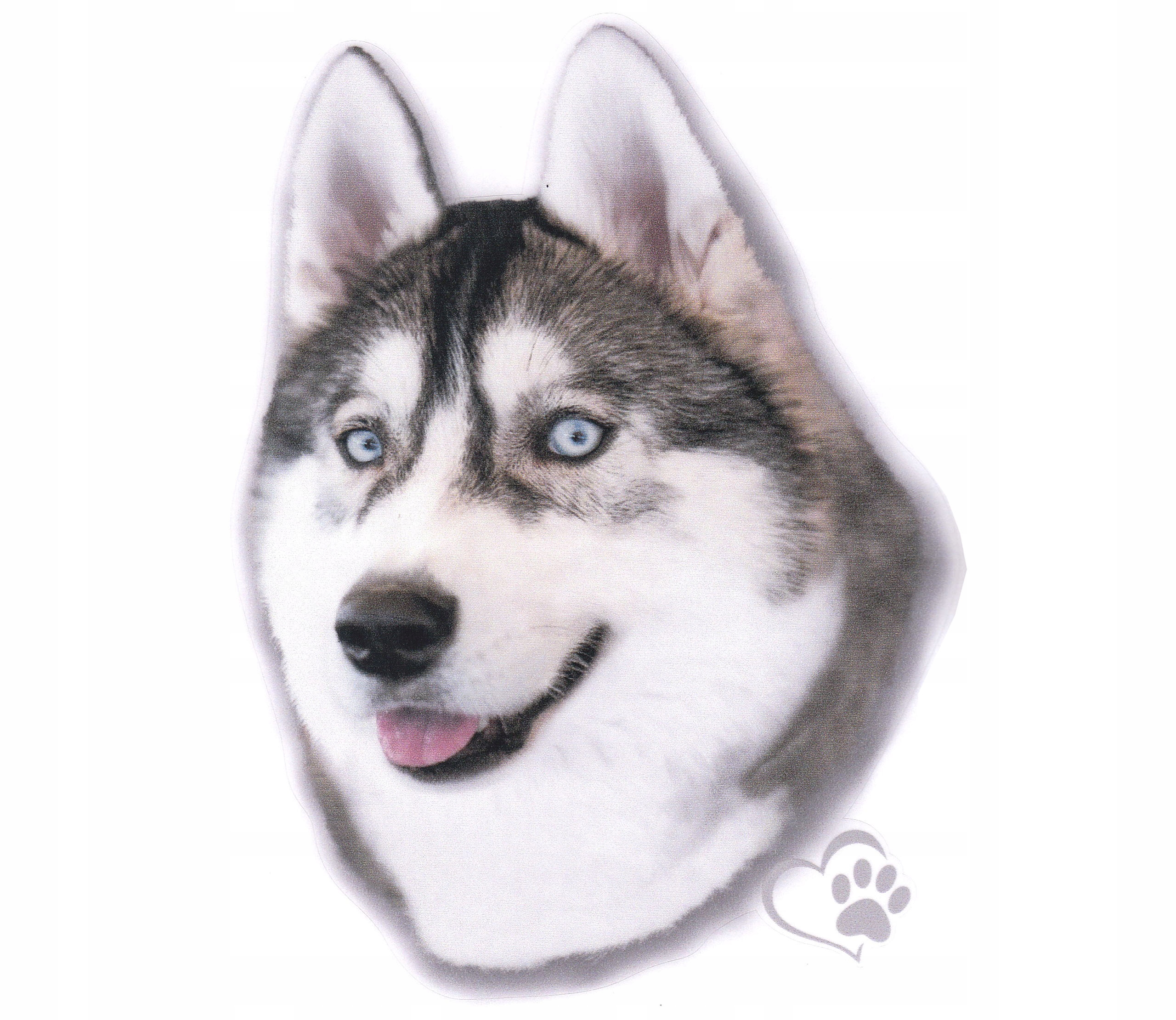 

Naklejka Nalepka Pies Rasowy Husky Syberyjski Uv
