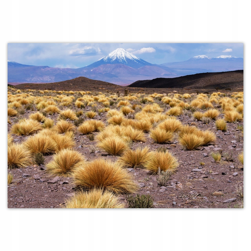 

Naklejki 100x70 Krajobraz Widok