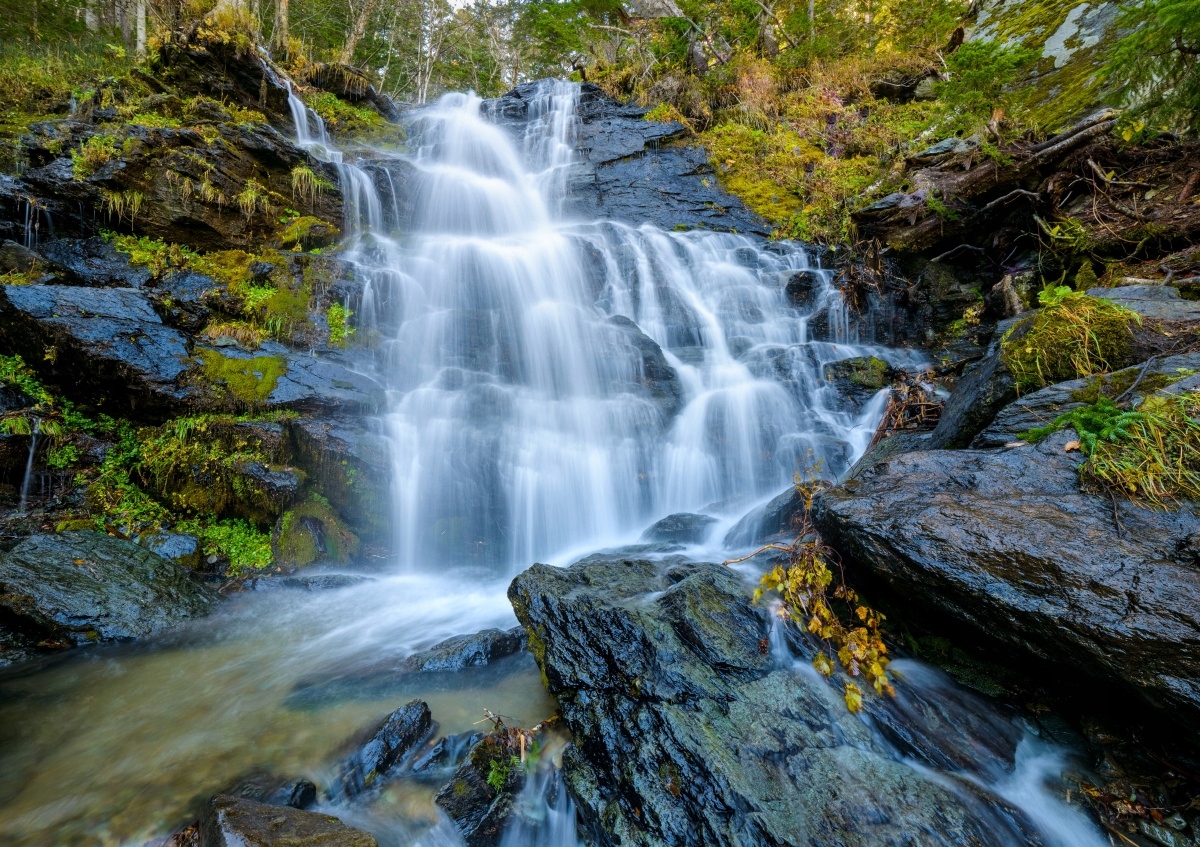 

Fototapeta Flizelinowa Wodospad - 208x146