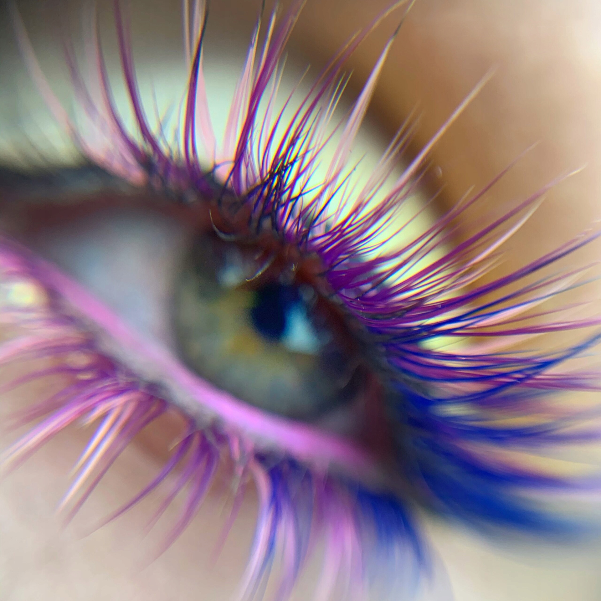 Kępki Rzęs V shape Colour 10,12,14mm - PURPLE, Mix Kod producenta 00