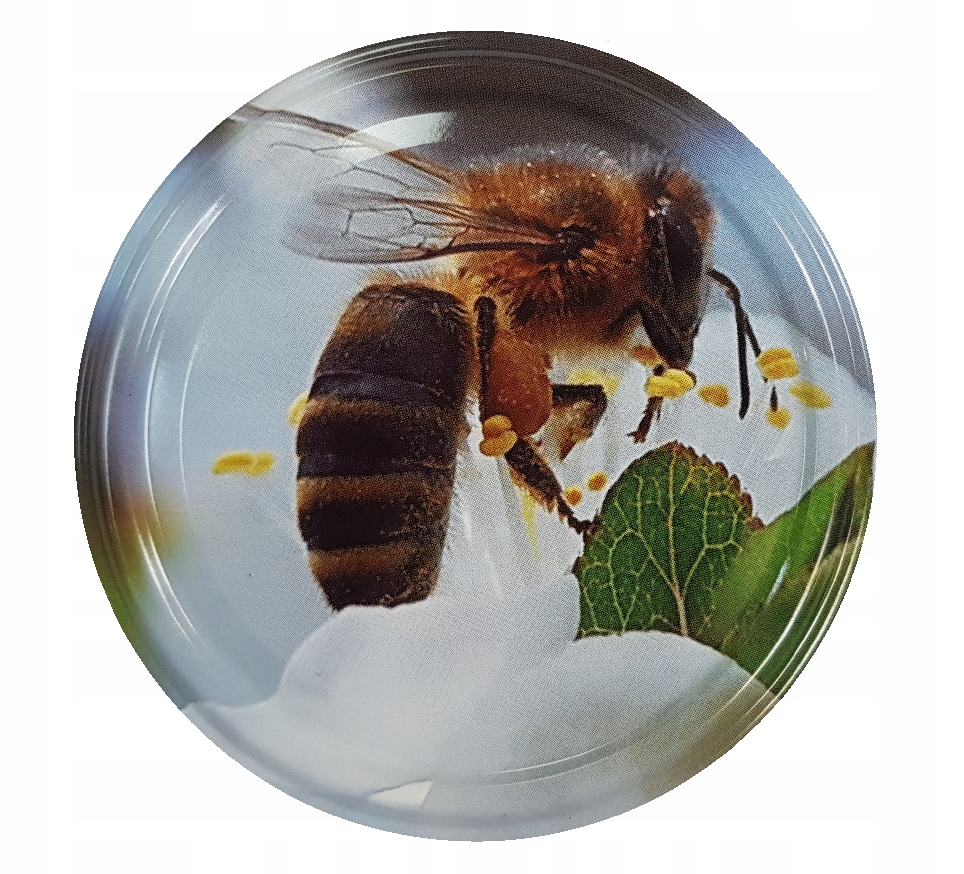 

Zakrętki Wieczka FI66/4 10szt pszczelarstwo