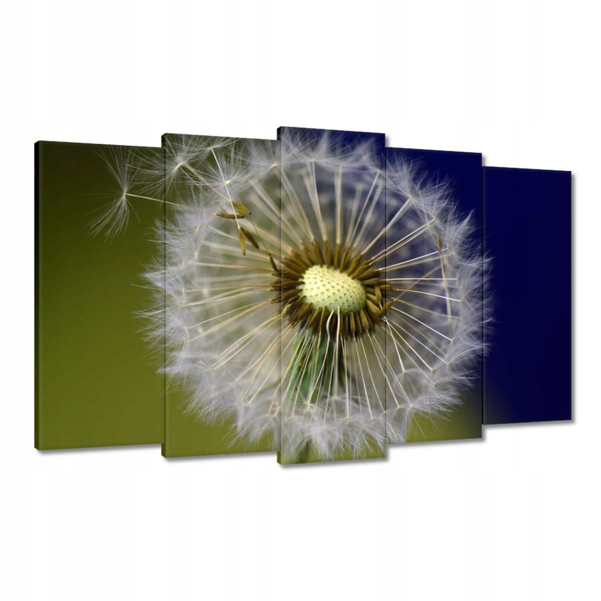 Obrazy 100x60 Pampeliška Květ Květiny