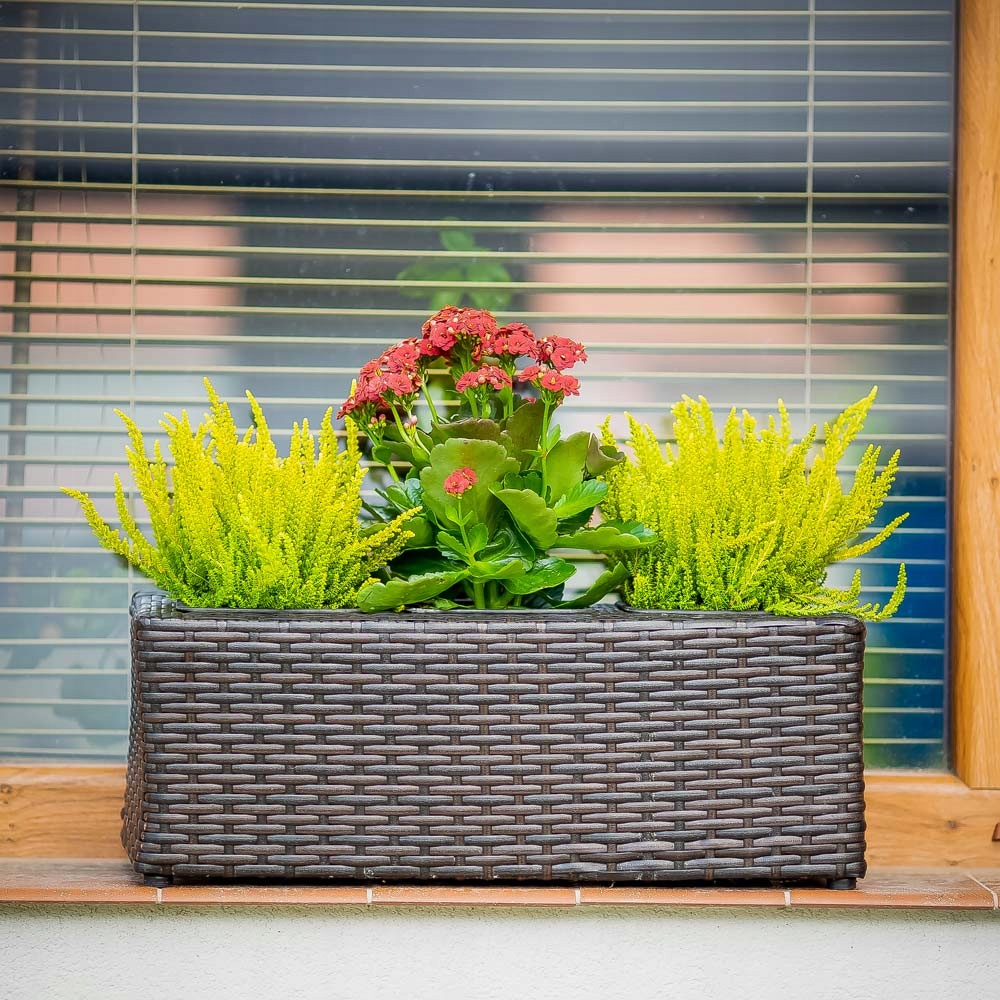 

47392 Patio Doniczka Potrójna Z Wkładem Wenge