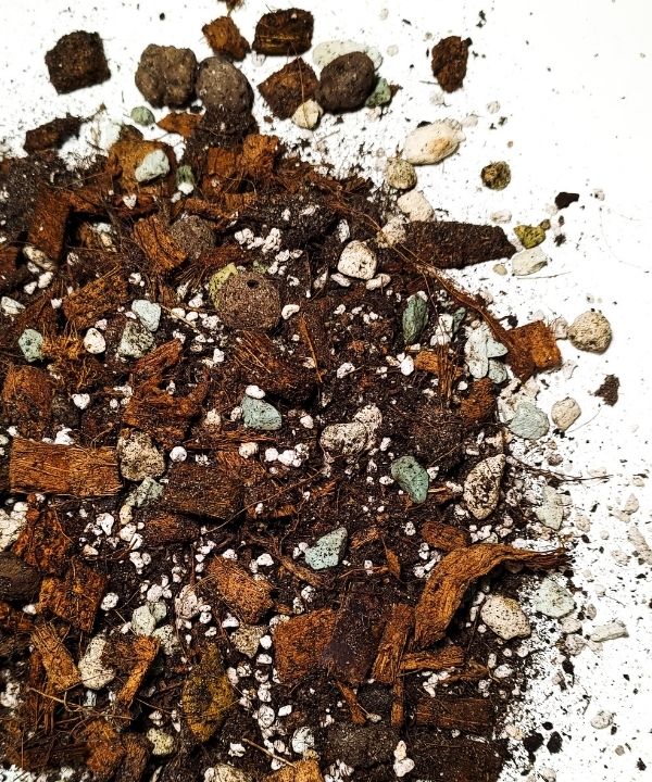 Podłoże do Filodendronów - BUJNY WZROST