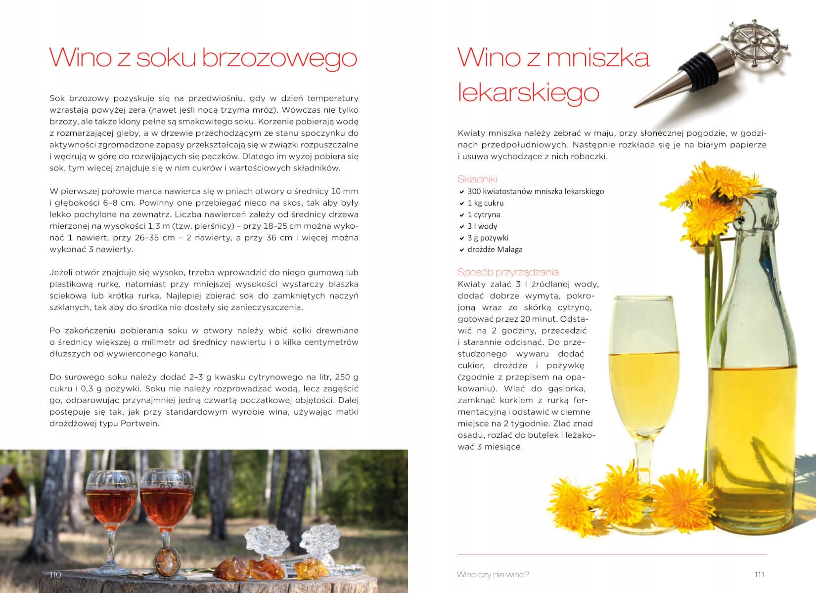 WINA DOMOWE KSIĄŻKA PORADNIK PONAD 100 PRZEPISÓW Tytuł Wina domowe. Ponad 100 sprawdzonych przepisów