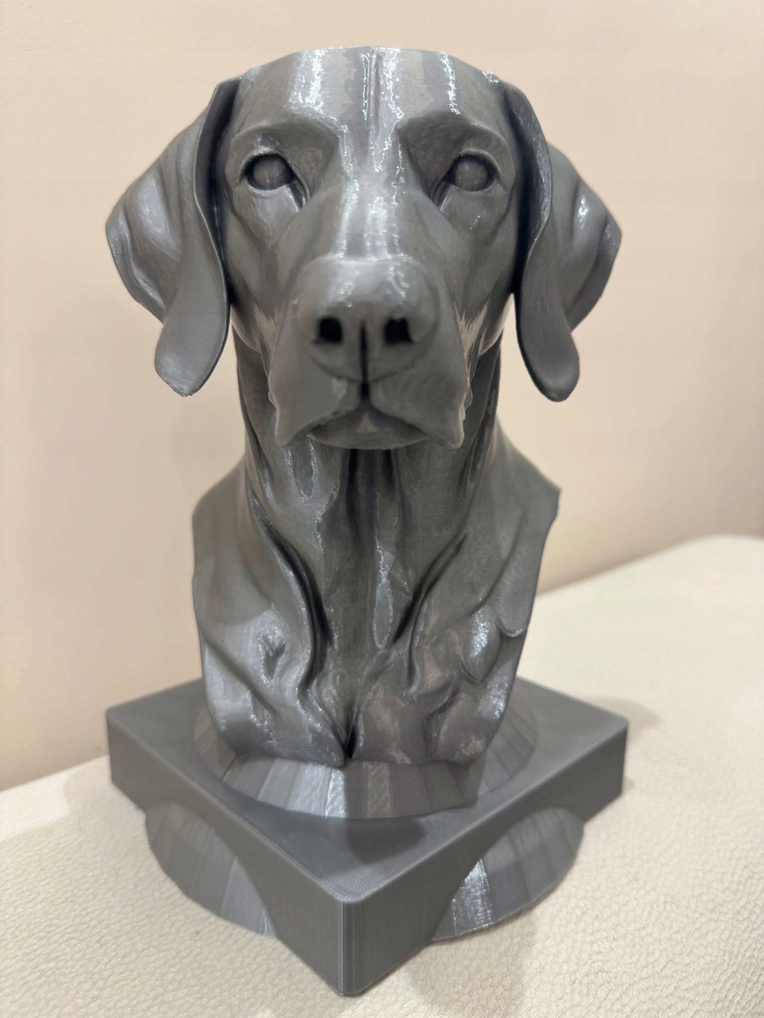 Výnimočný Weimarský Výživ Strieborná Busta 25 cm!