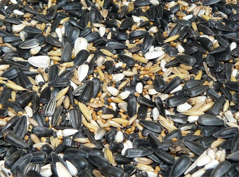 Levně Směs do krmítek Avicentra 20kg