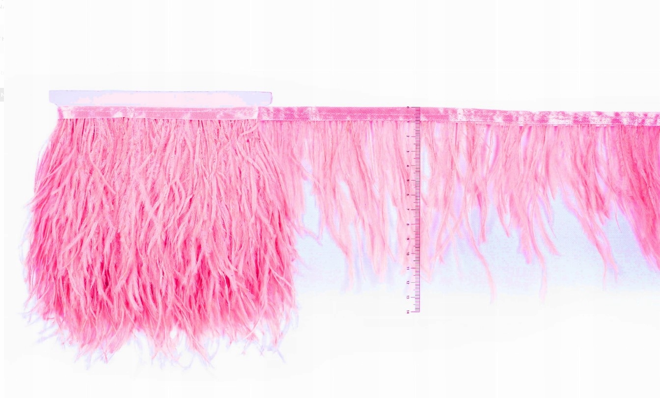 Pštrosí Peří Na Pásku Růží Barbi 10MB Premium