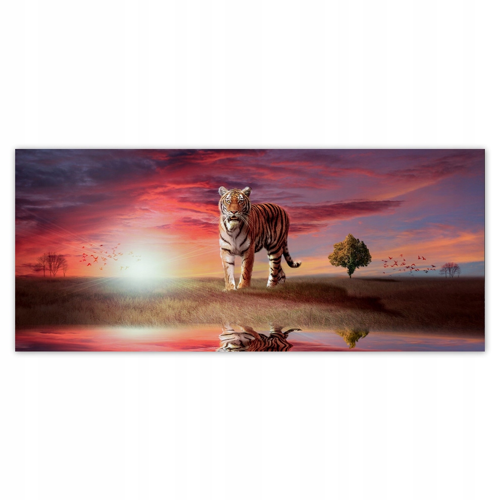 

Fototapety flizelina 211x91 Tygrys
