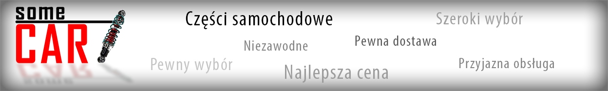 VW PASSAT B6 OSŁONA WLOTU POWIETRZA ORYG 1K0805965 Producent części PJ