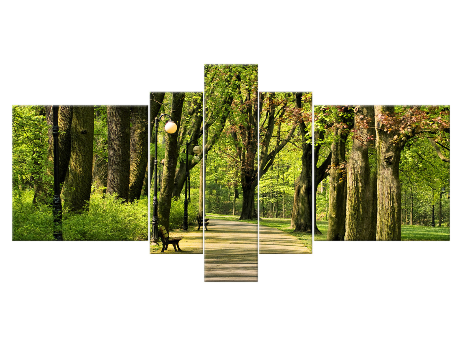 

Obraz 160x80 Pejzaż Park Cytadela Rośliny Płótno
