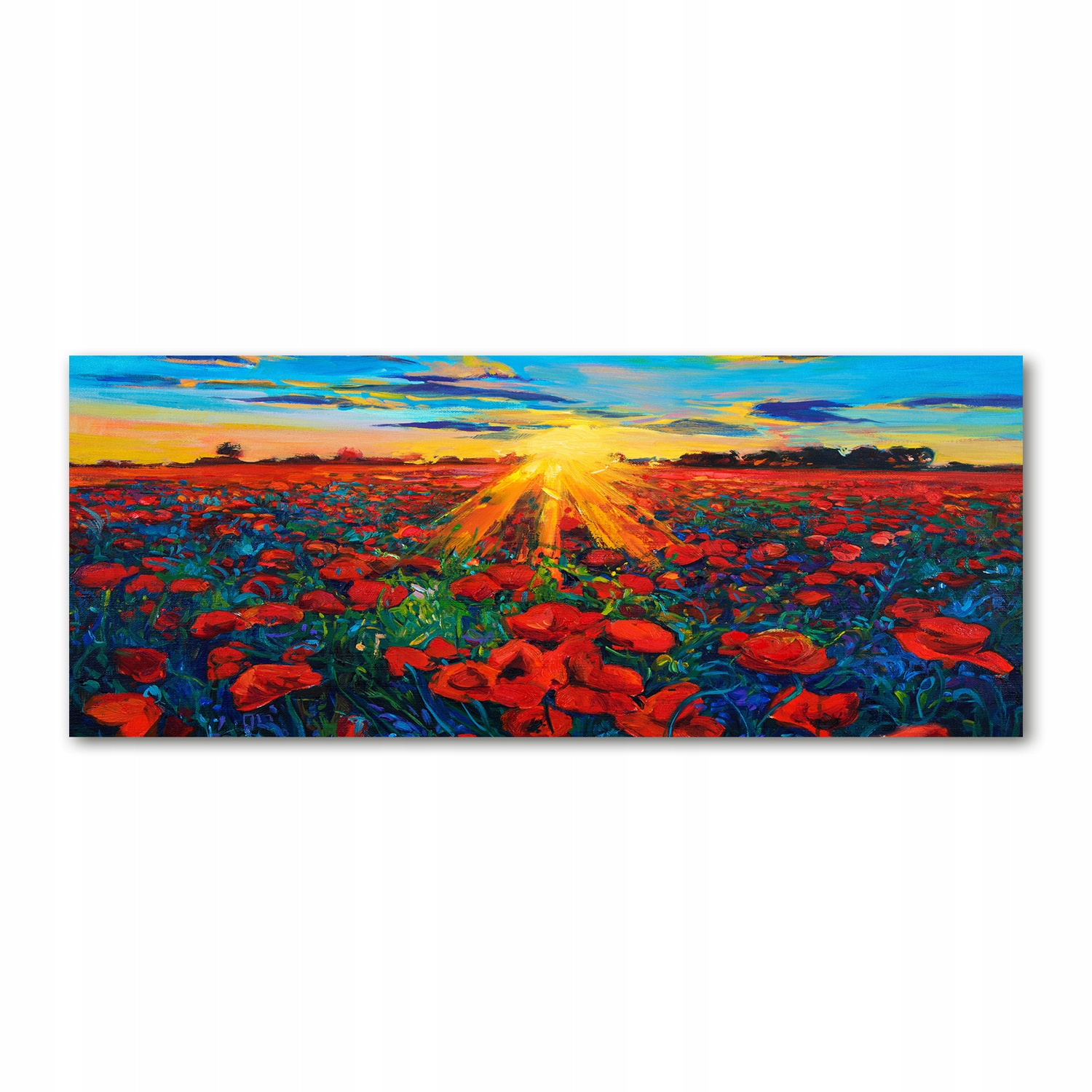 Fotoobraz akryl moderný Makové pole 125 x 50 cm