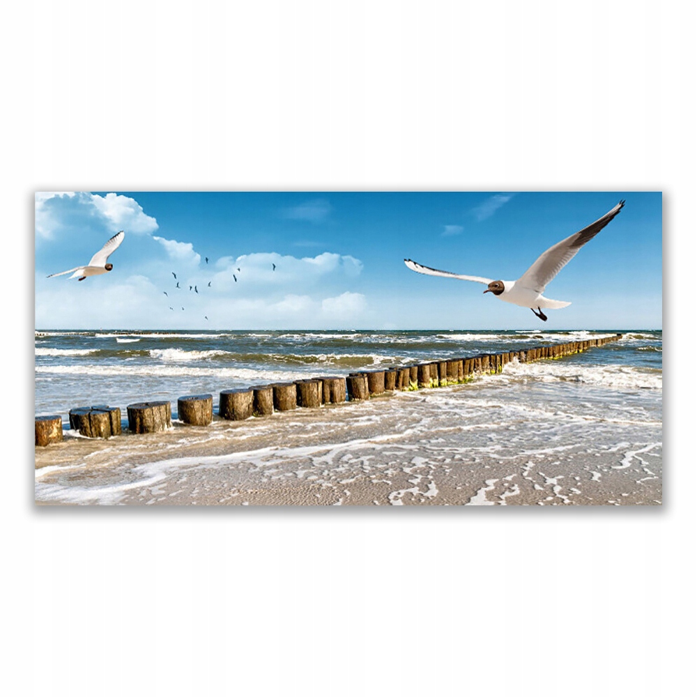 

Fotoobraz z nadrukiem 120x60 Mewy Morze Krajobraz