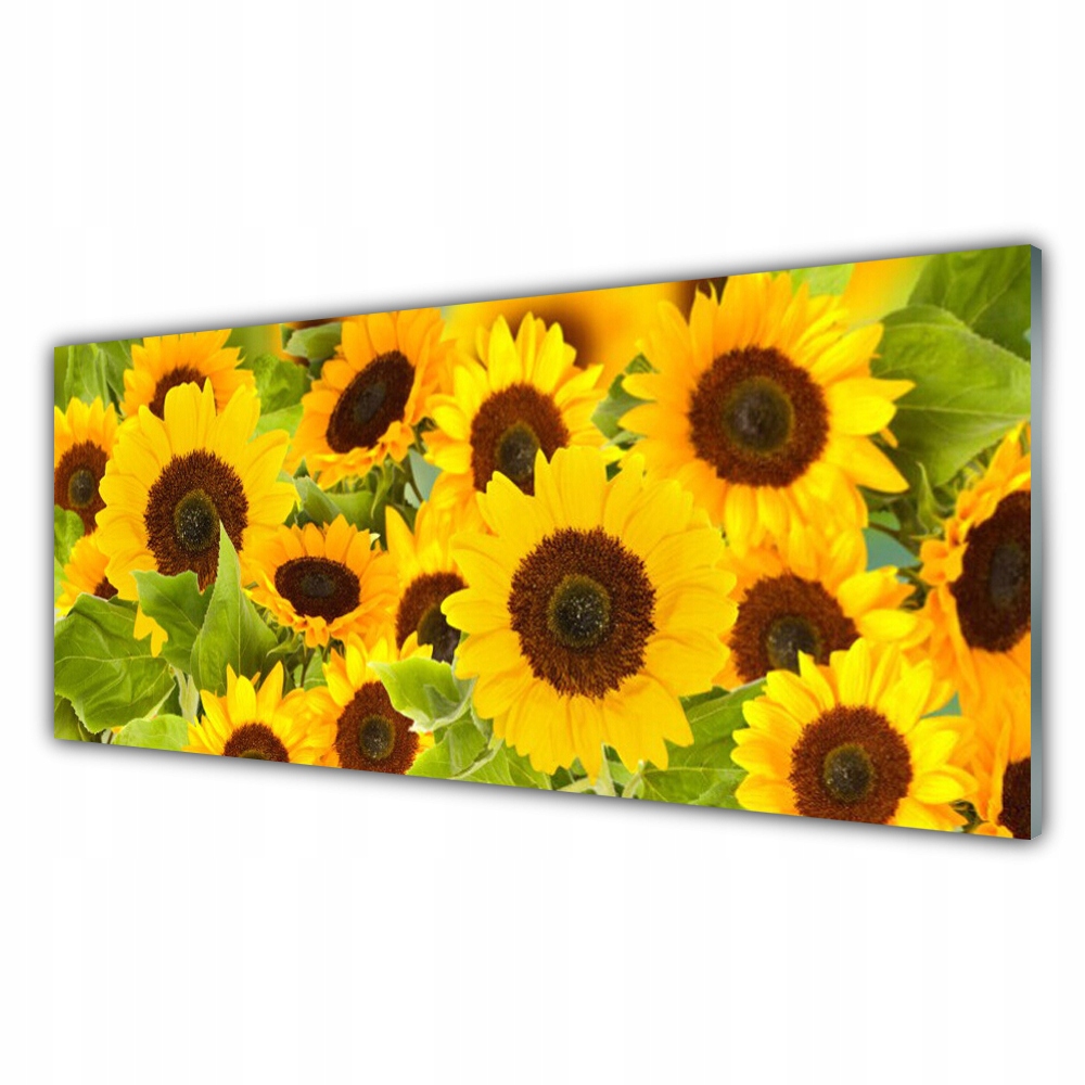 

Obraz akrylowy wiszący 125x50 Roślina Słoneczniki