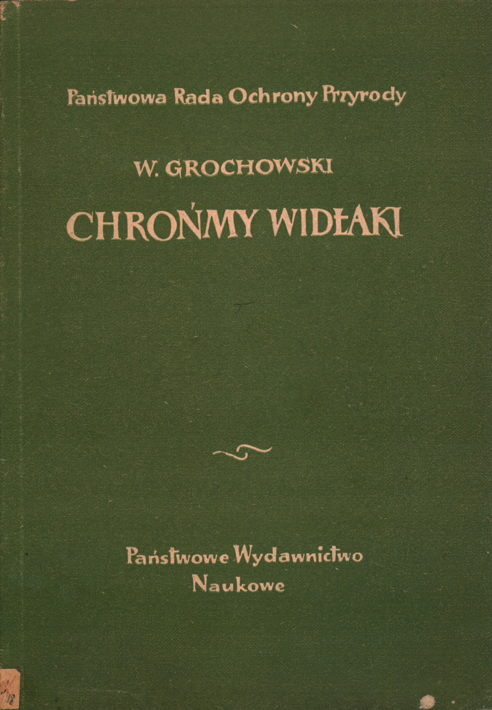 CHROŃMY WIDŁAKI - WIESŁAW GROCHOWSKI