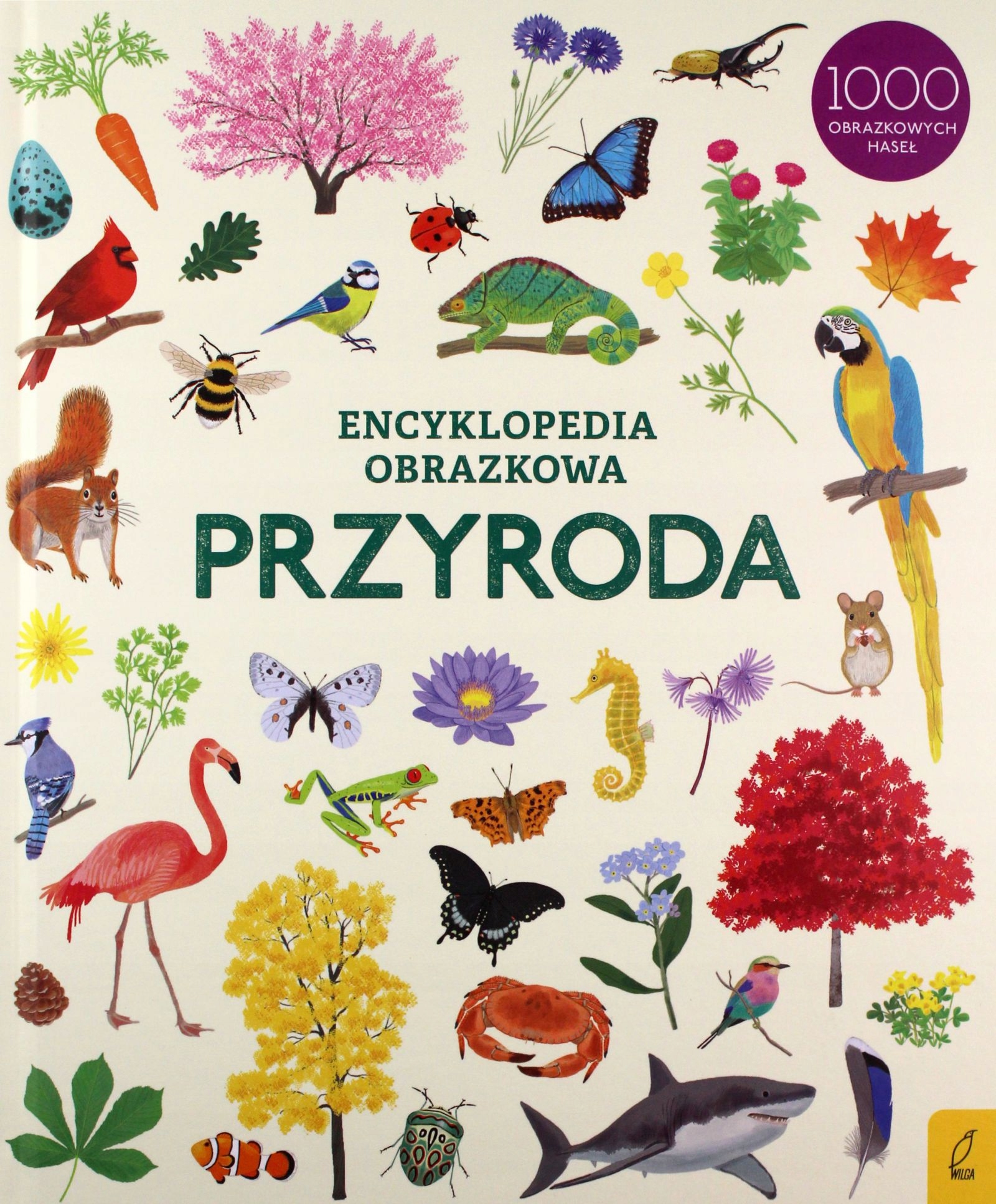 

Encyklopedia Obrazkowa Przyroda (książka)