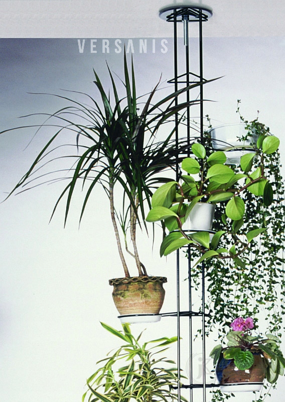 KWIETNIK ROZPOROWY KOLOR (273CM) VERSANIS 6C Marka Versanis