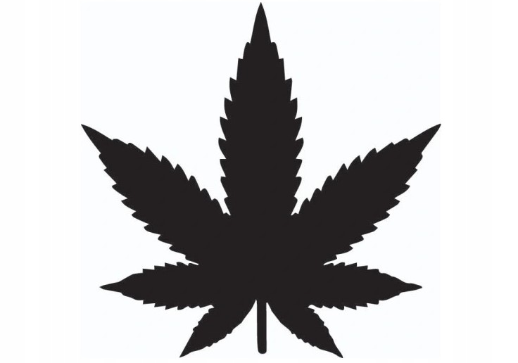 

Naklejka Auto Szybę Marihuana Liść Trawka