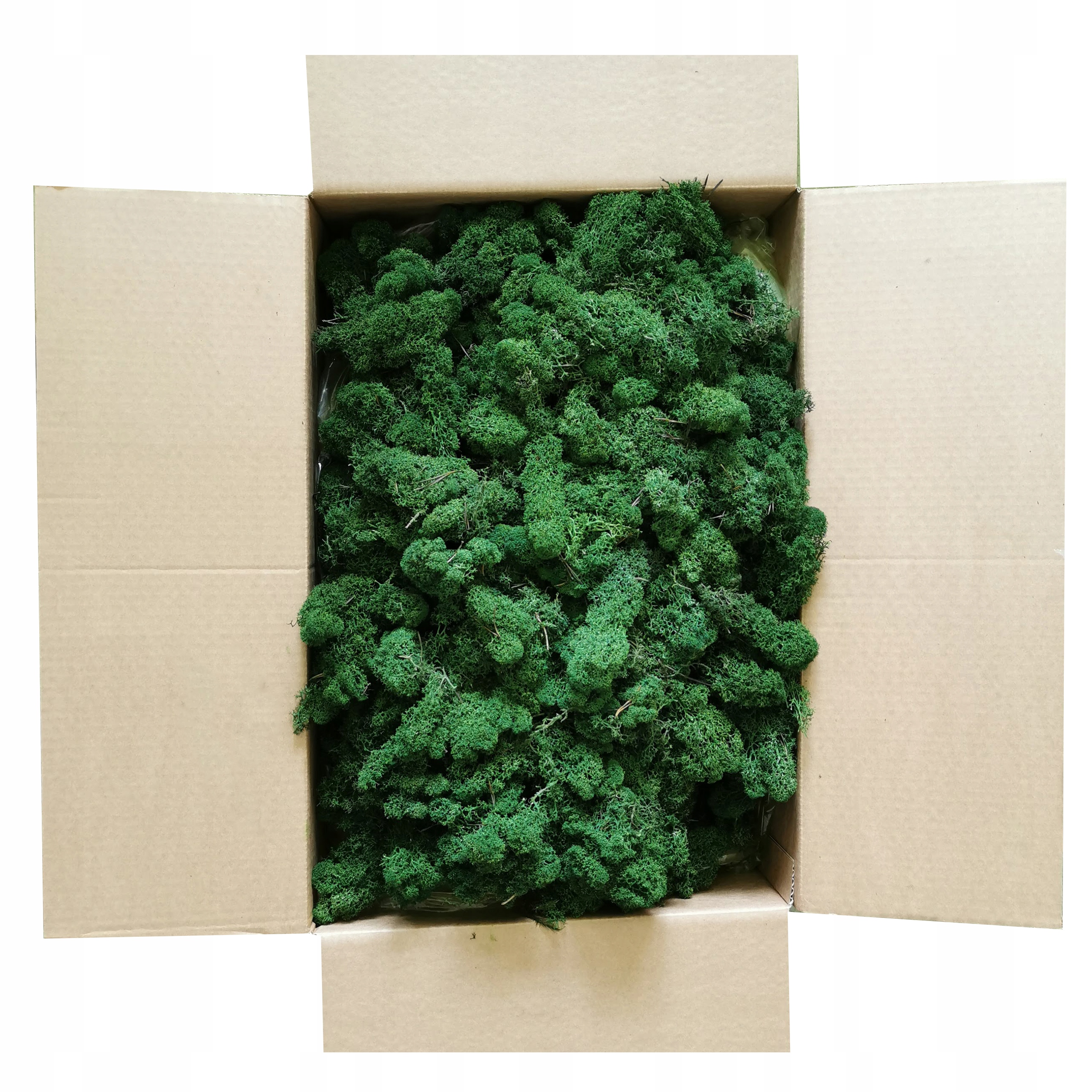 

4kg Mech Chrobotek Fiński Oczyszczony Premium