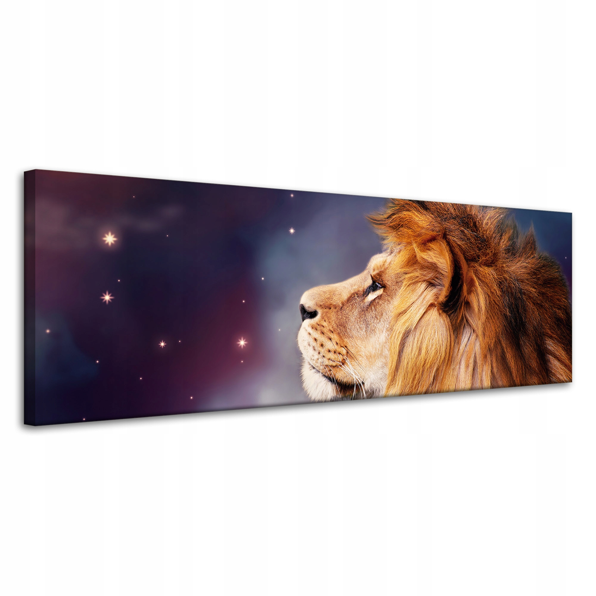 Obraz na plátně Tvář lva mezi hvězdami 120x40 cm Ideální jako dárek