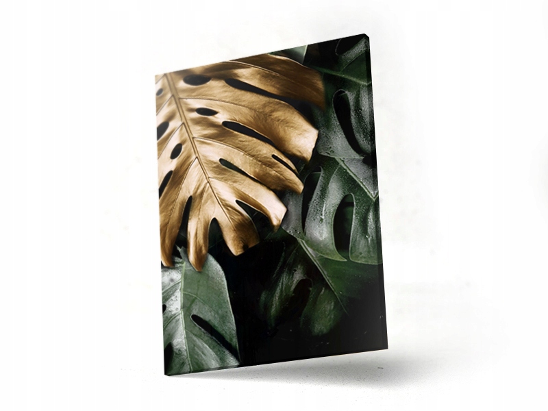 

Nowoczesny obraz 60x40 - monstera abstrakcja wzory