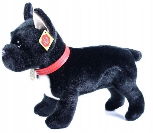 

Buldog Francuski Czarny Maskotka Pies Realistyczny