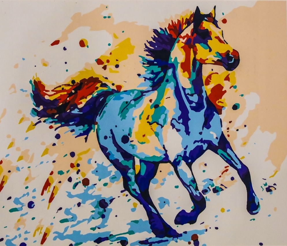 Velký Obrázek Malování Podle Čísel dárek Kůň +rám