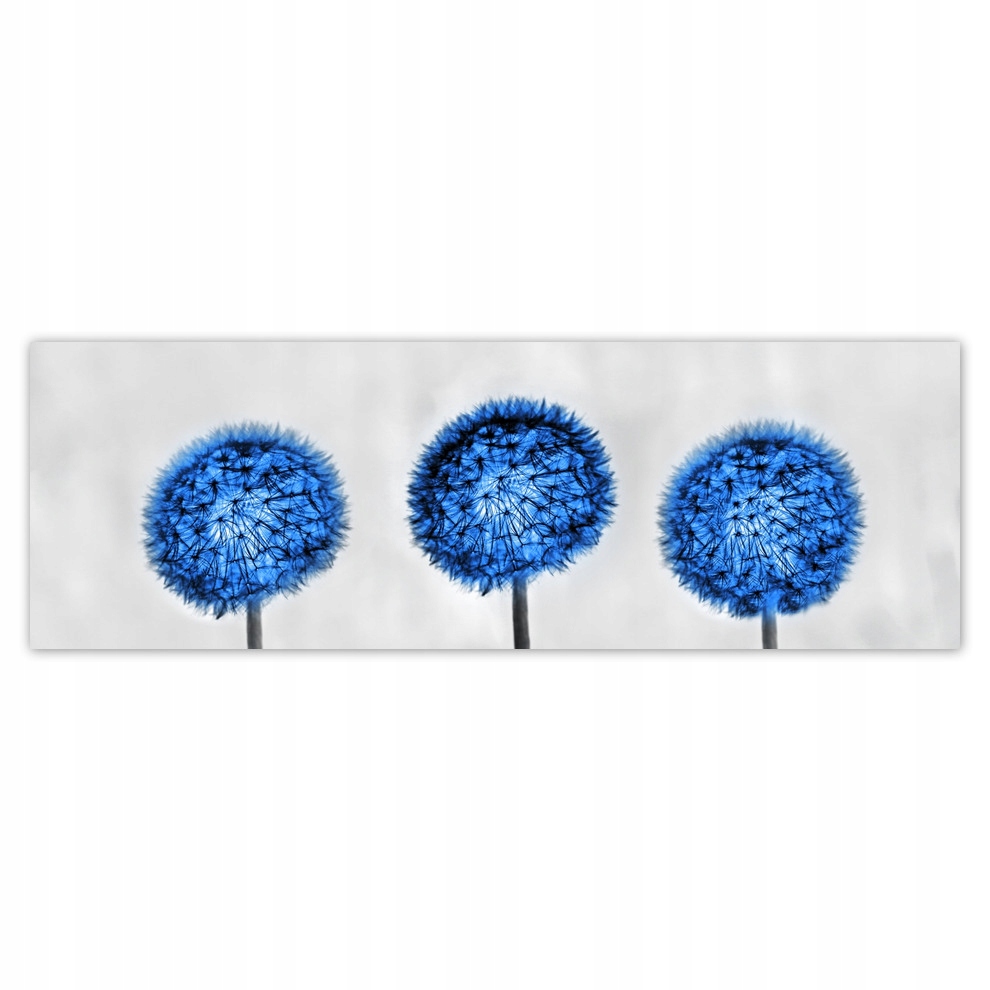 

Plakaty 200x66 Niebieskie dmuchawce