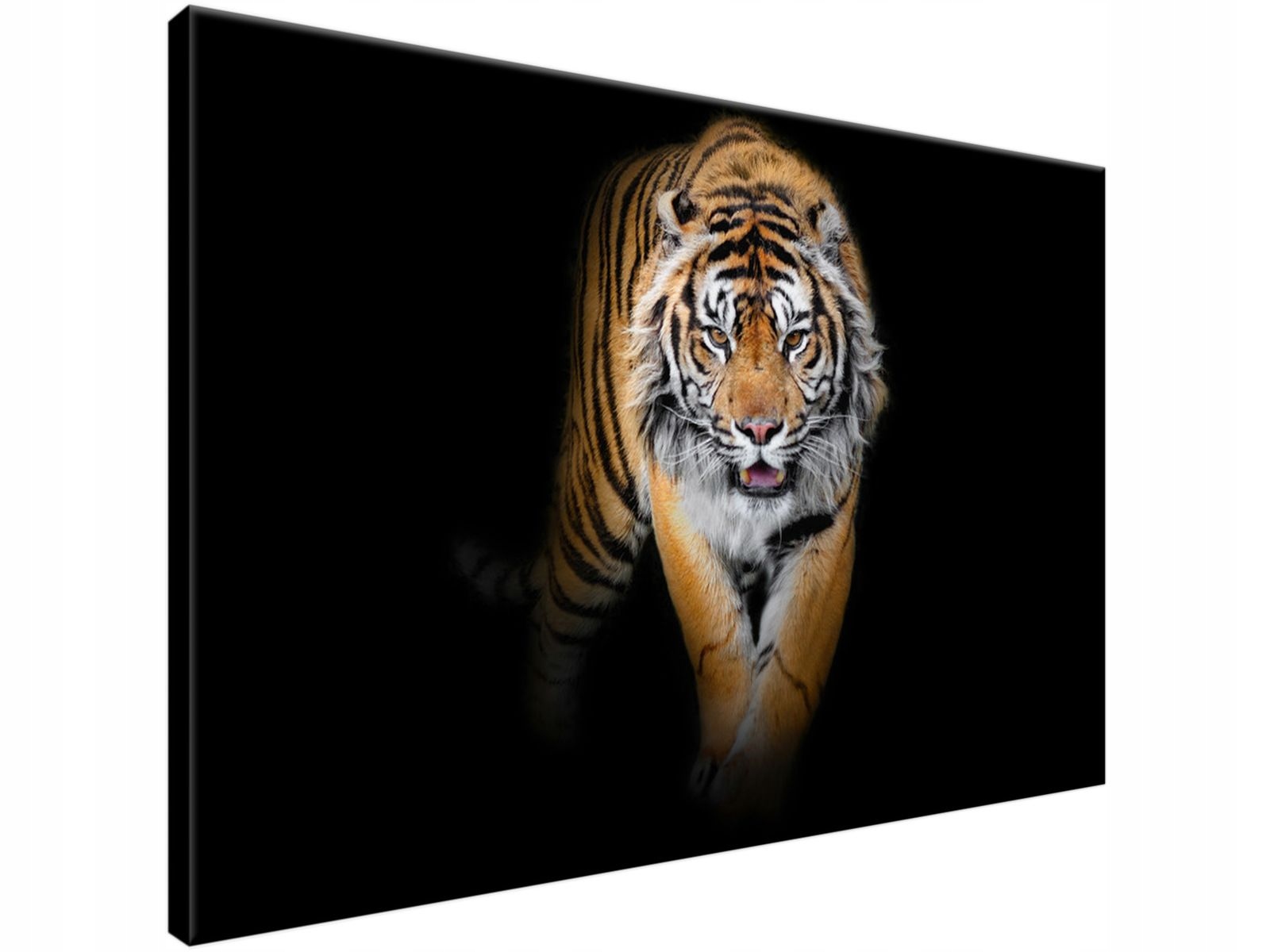 

Obraz drukowany Tygrys 90x60 super