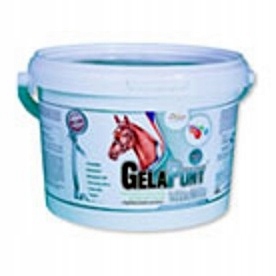 Orling GelaPony Vitamin 900 g witaminy