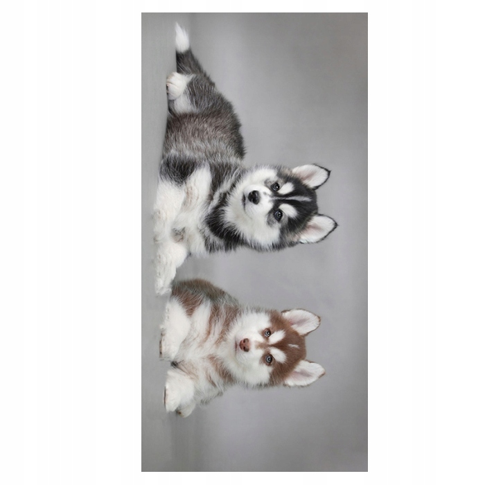 

Ręcznik plażowy 70x140 szary husky
