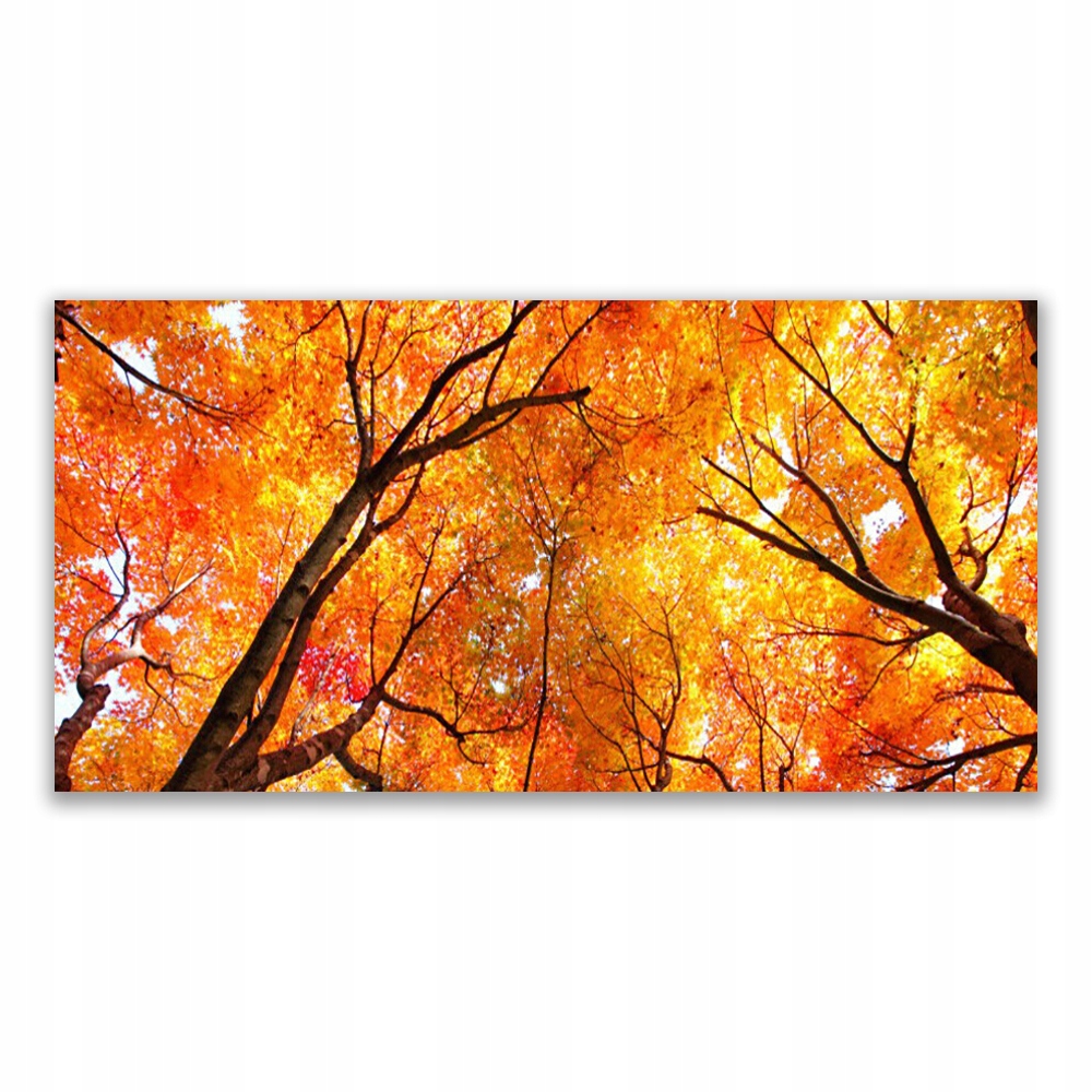 

Fotoobraz akryl na prezent 120x60 cm Drzewa Natura