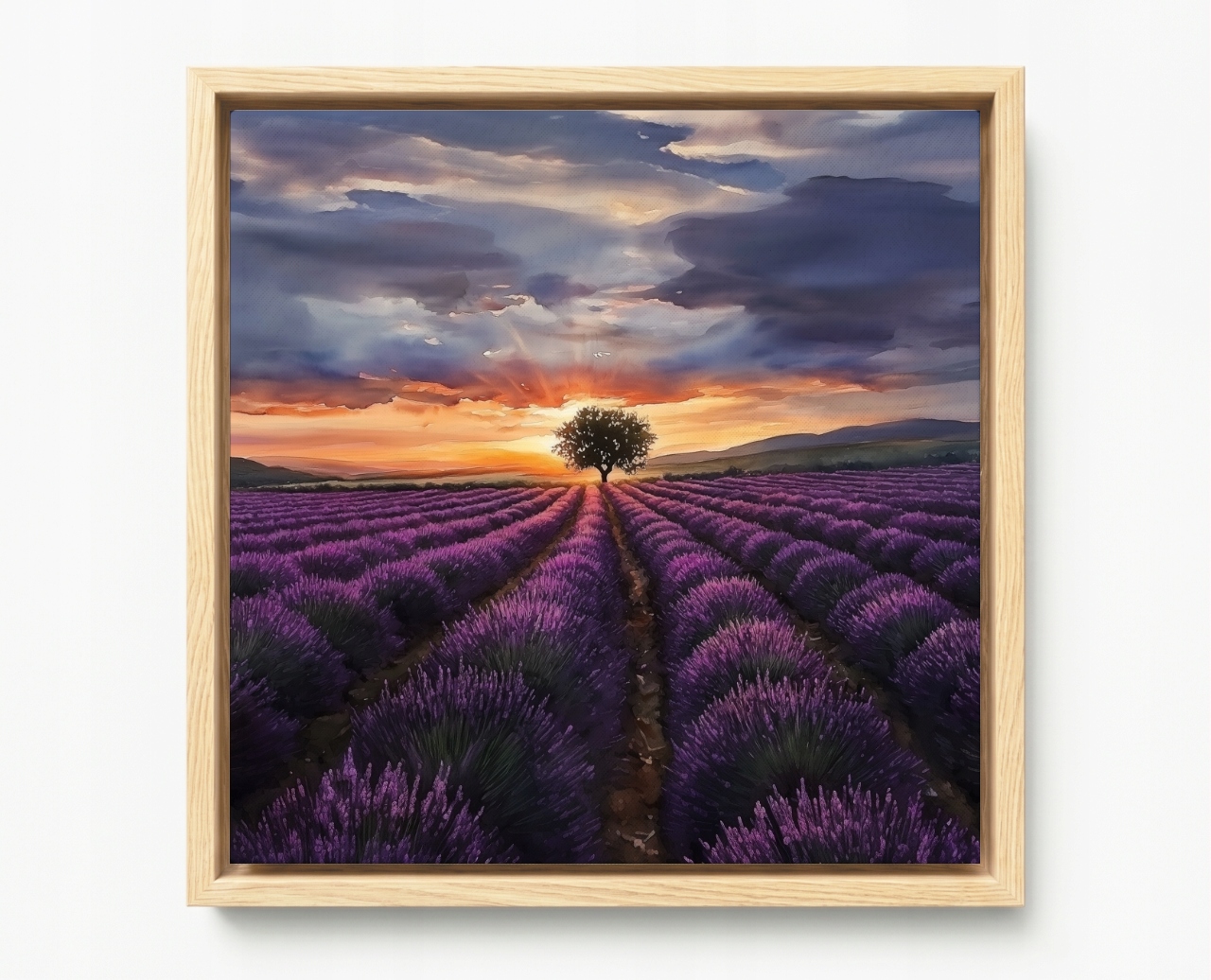 Obraz Rám American Box Pole Levandule Západ Slnka Provence 60x60