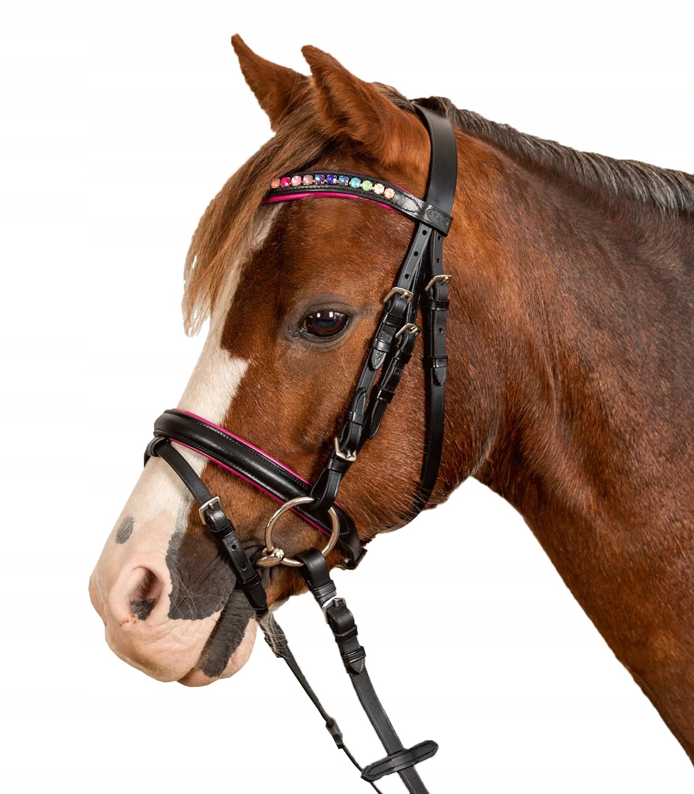 Ogłowie dla kucyka Star Pinky skórzane z różowym podszyciem czarne Pony