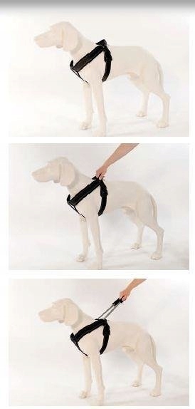 Levně Patento Pet Sportovní postroj velikost M