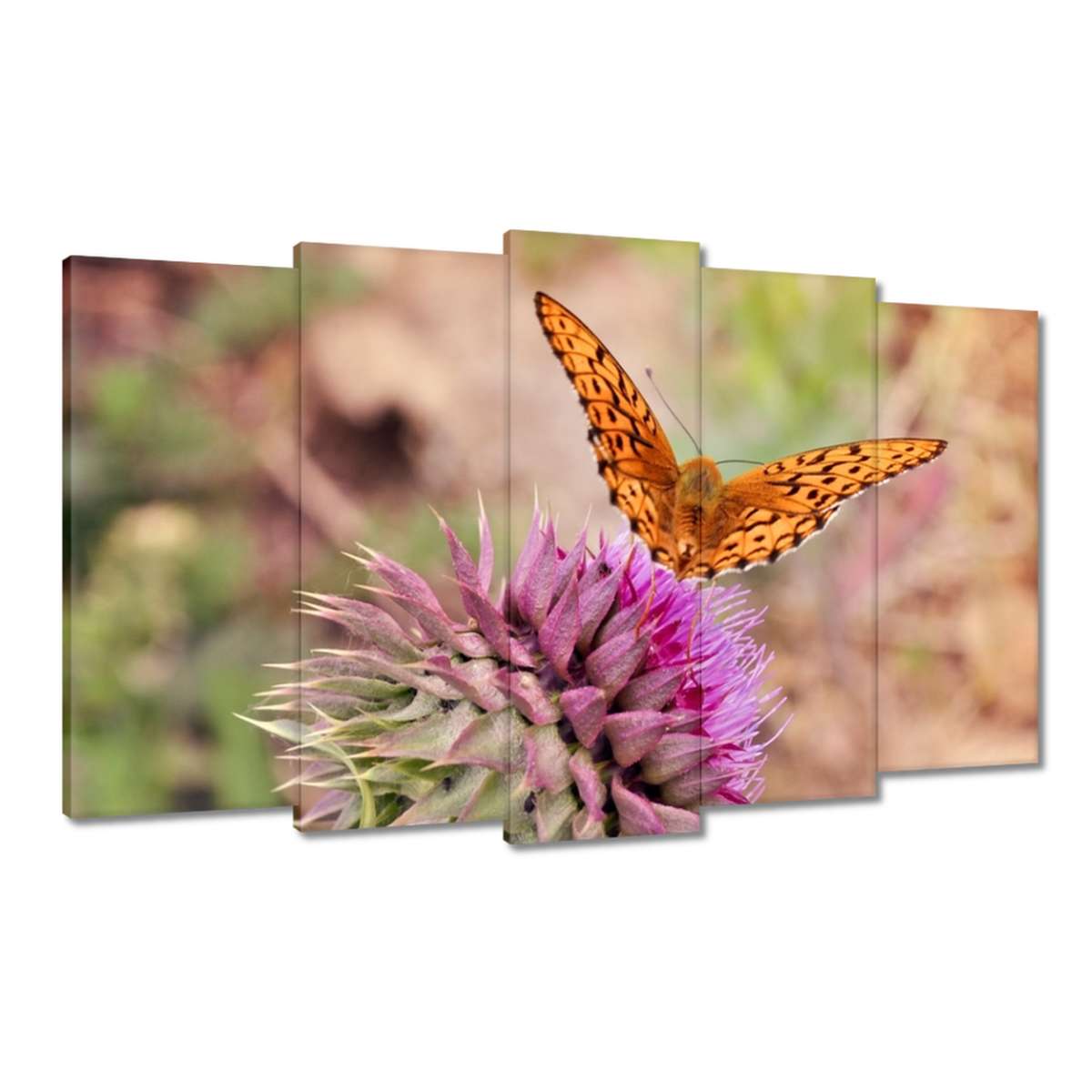 Obrazy 100x60 Motýlek