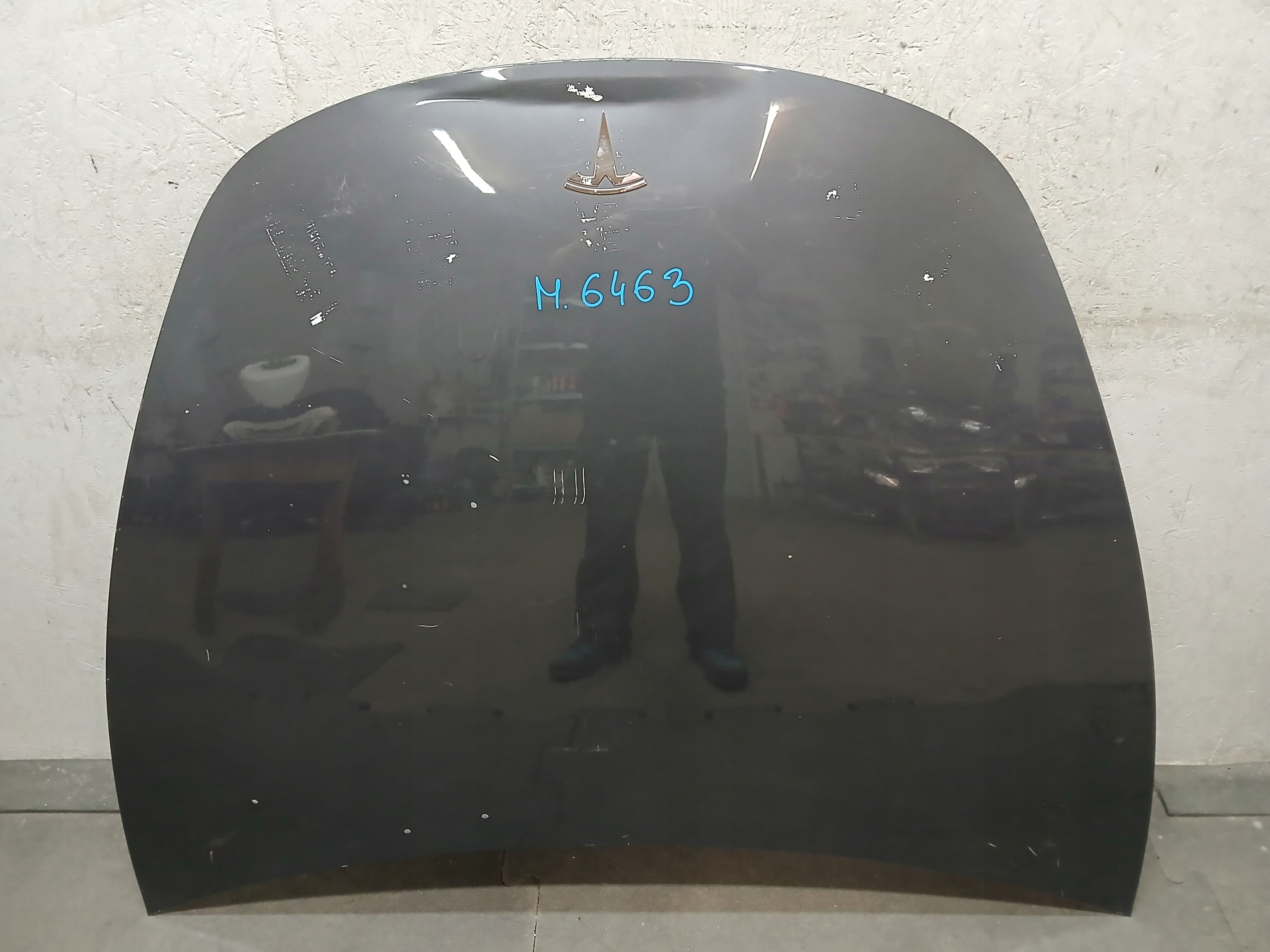 hauba TESLA III 3